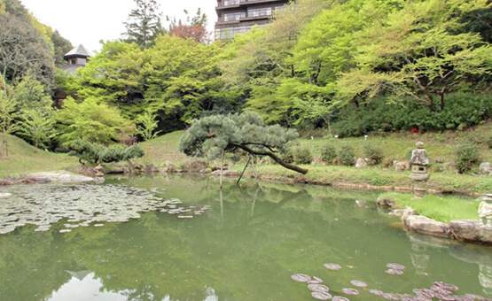 日本庭園